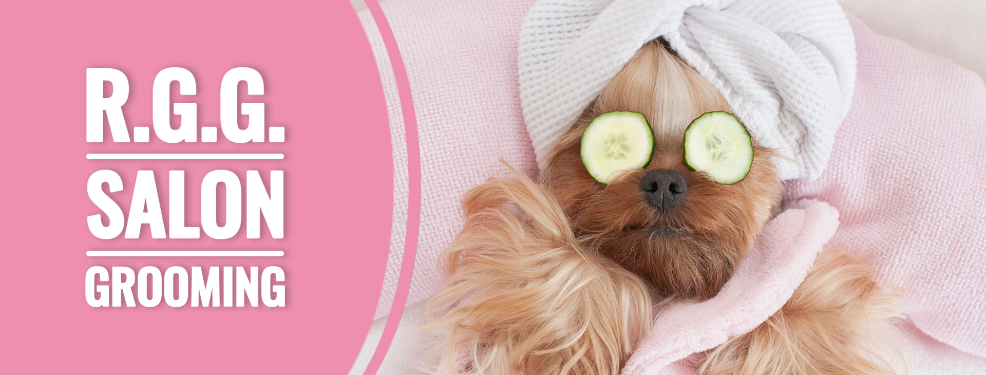 Salon Grooming Robbye's Gentle Groomers